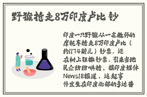 疯狂的西班牙**XX00