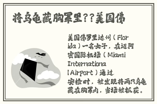 艾秋老大的处罚